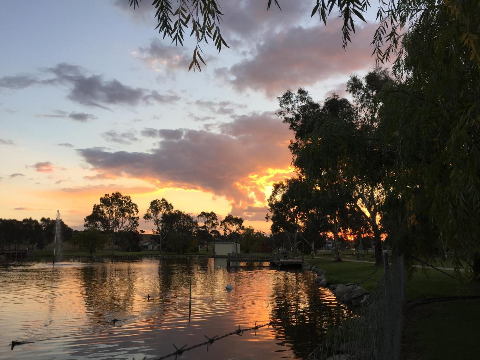 Junee Tourist Park Exterior photo