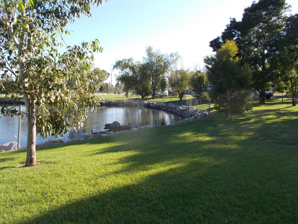 Junee Tourist Park Exterior photo