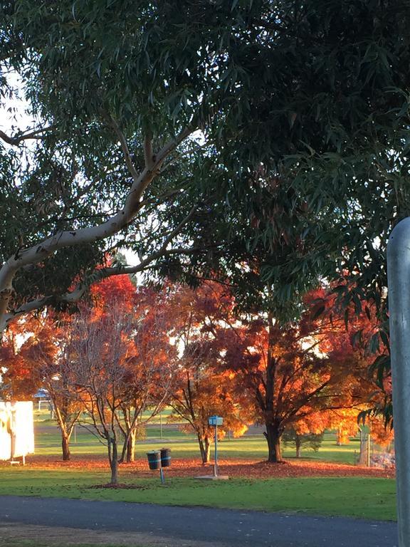 Junee Tourist Park Exterior photo