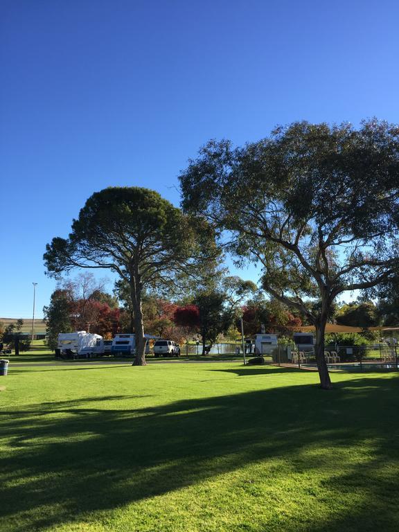 Junee Tourist Park Exterior photo